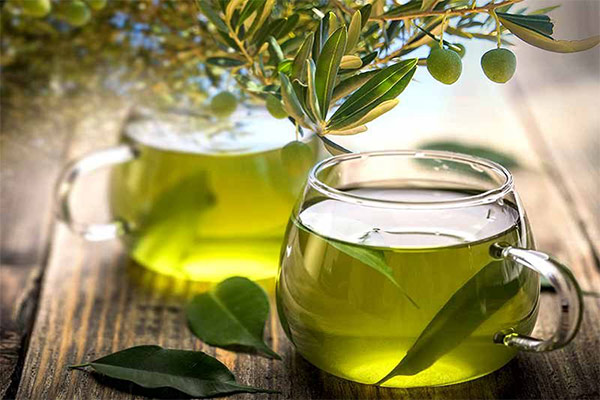 Zeytin Yaprağı Çayı Yapımı ve Faydaları